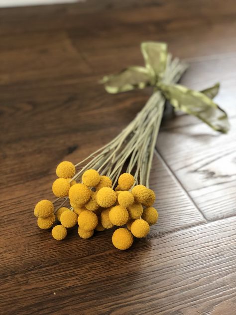 Craspedia Flower, Yellow Craspedia, Globe Amaranth, Billy Balls, Rustic Vase, Flower Stems, Flowers Yellow, Beautiful Centerpieces, Dried Flower Bouquet