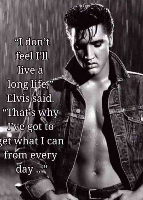 Elvis Eyes, Elvis Presley Hair, Elvis Presley Facts, Elvis Presley Quotes, Elvis Presley Live, Elvis Quotes, Elvis Presley Wallpaper, Elvis Wallpaper, Graceland Mansion