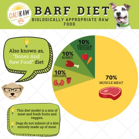 How Much Raw Food To Feed Dog, Best Raw Food For Dogs, Raw Diet For Dogs Beginner, Barf Dog Food Recipes, Raw Food Diet For Dogs Beginner, Dog Raw Food Diet For Beginners, Raw Dog Food Recipes For Beginners, Barf Diet For Dogs, Homemade Raw Dog Food