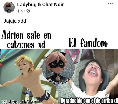 Lady Bob, Meme Chat, Tikki Y Plagg, Miraculous Ladybug Memes, Miraculous Ladybug Funny, Lady Bug, Miraculous Ladybug, Mlb, Bts