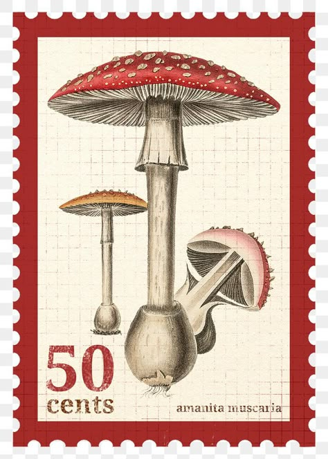 Vintage Stamps Aesthetic, Printables For Scrapbooking, Mushroom Transparent Background, Mushroom Png Aesthetic, Stamp Png Aesthetic, Aesthetic Stamp Stickers, Collage Images Free Printables, Vintage Stamps Printable, Aesthetic Stamps