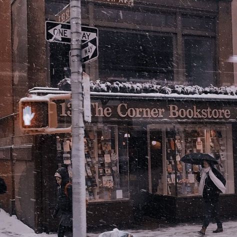 Winter Academia Aesthetic, Manhattan Winter, Acedamia Aesthetic, Aesthetic Bookstore, Winter Academia, Pursuit Of Knowledge, Fireplace Tv Wall Decor, Winter Nyc, Room 2023