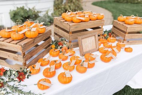 Fall Wedding Seating, Fall Color Pallet, Fall Wedding Style, Fall Wedding Ideas, Fall Wedding Color Palette, Pumpkin Wedding, Orchard Wedding, Wedding Tablecloths, Winter Wedding Colors