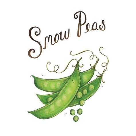 Peas Illustration, Pea Drawing, Pea Illustration, Whimsical Food, Veggie Patch, Snow Peas, Illustrator Art, Etsy Prints, Handmade Font