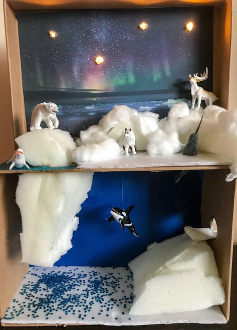 Arctic Cardboard Diorama Tundra Diorama, Habitat Diorama, Arctic Habitat, Biomes Project, Diorama Kids, Ecosystems Projects, Habitats Projects, Urs Polar, Learning Crafts