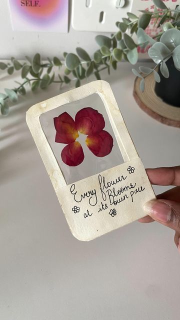 Artikate - Art Supplies & Stationery on Instagram: "A bookmark that’s worth a thousand words 🫶 🥀 💗 To create this DIY pressed flower bookmark- -Use paper that’s preferably 140 gsm or above. -Press your cherished flowers in a plastic sheet. You can conveniently reuse one from various product packages, just as we’ve done here. -To stick the sides firmly, we recommend using a strong craft adhesive. We have used Fevicol MR here. -You can also add a beautiful heartfelt quote ✨Make sure to use water-resistant, fade-proof inks to pen down the quote. Uniball Eye UB-150 rollerball pen has been used for this bookmark. -You can also give the paper a vintage appearance using coffee. - Brushes used are from ‘Stationerie’ - Cutting mat is from ‘Brustro’ Have fun creating ❣️🙌 Get your favouri Rose Petal Art Ideas, Diy Rose Petals Crafts, Pressed Flower Journal Ideas, Crafts With Flower Petals, How To Preserve Rose Petals, Pressed Flowers Bookmark, How To Preserve Roses, Friendship Book Diy, How To Press Flowers