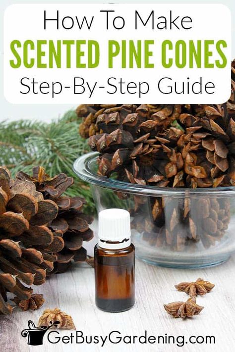 Quickly and easily make DIY scented pine cones for Christmas and the holiday season with essential oils and pine cones from your backyard! These are fun and fast to make, plus cost effective and frugal, as they can be used over and over year after year. Follow this tutorial to learn everything you need to know about how to scent pine cones, what materials you need, tips for how to use them, and more - to make your own this winter season. This is a crafty activity the whole family will enjoy. Scented Pinecones, Diy Scent, Diy Pinecone, Room Freshener, Cinnamon Essential Oil, Citrus Essential Oil, Winter Table, Holiday Scents, Cones Crafts