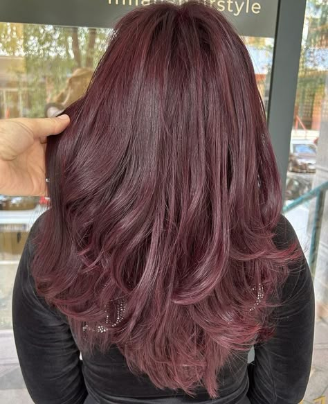 Purple Reddish Hair Color, Purplish Red Hair Color, Rosewood Hair Color, Plum Pink Hair, Dark Pink Brown Hair, Raspberry Brown Hair, Brown With Purple Undertones, Reddish Purple Hair, Pinkish Brown Hair