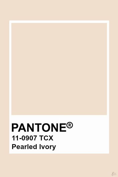 Pantone Pearled Ivory Bedroom Wallpaper White, Pantone Tcx, Pantone Swatches, Pantone Palette, Pantone Colour Palettes, Deco Rose, Wallpaper White, Bedroom Wallpaper, Color Inspo