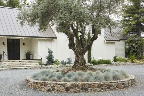 Sonoma Farmhouse, Homestead Design, Garden Homestead, Driveway Entrance Landscaping, Habitat Garden, Herb Garden Design, Front Yard Design, Farmhouse Landscaping, Sloped Garden