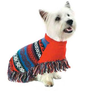 In Search of the Perfect Poncho Small Dog Sweaters, Crochet Dog Sweater, Cute Dog Clothes, Akita Dog, Sweater Poncho, Designer Dog Clothes, Dog Clothes Patterns, Designer Dog, Dog Costumes