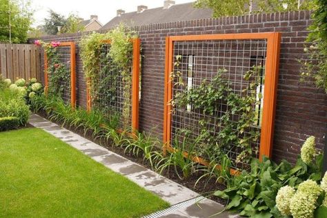 40 DIY Homemade Structures to Plant Vines: Trellis, Arbor, Pergola Kitchen Architecture, Wire Trellis, Walls Ideas, Wall Trellis, Garden Fences, Diy Garden Trellis, Diy Trellis, Pretty Garden, Planting Ideas