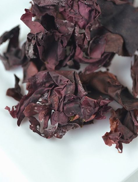 A Guide to Dulse (Atlantic Sea Vegetable) | The Vegan Atlas Cauliflower Potato Soup, Sauteed Potatoes, Cold Noodles, Vegetarian Life, Popcorn Seasoning, Sea Vegetables, Tofu Dishes, Tofu Scramble, Leafy Vegetables