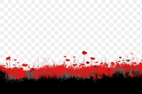 Border Png, Remembrance Day, Poppy Flower, Red Poppies, Line Art, Poppies, Quick Saves