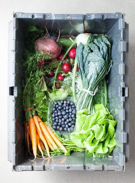 CSA Box Strategies + a Farmhouse Salad #csa #goodeats Csa Farm, Csa Box, Veggie Box, Market Garden, Local Farm, Local Produce, Frozen Vegetables, Honey Bees, Love And Lemons