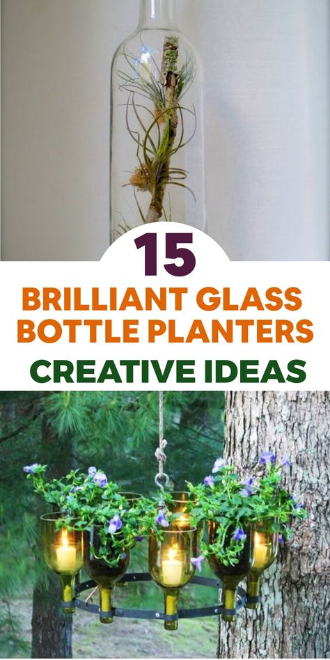 Enhance your plant collection with creative glass bottle planters! Upcycle simple bottles into beautiful, eco-conscious pots for your beloved plants. Explore our detailed tutorials to design one-of-a-kind arrangements that will invigorate any room. Find inspiration to showcase your plants beautifully! Bottle Planters, Creative Planters, Wine Bottle Garden, Growing Poppies, Wine Bottle Planter, Wine Bottle Centerpieces, Bottle Trees, Plants In Bottles, Diy Planter