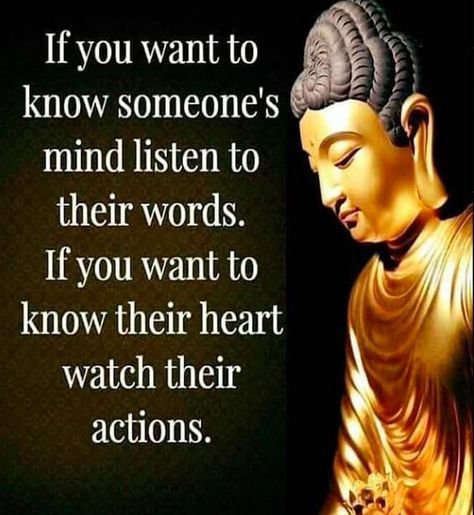 Buddha Thoughts, Buddha Quotes Life, Buddha Quotes Inspirational, Buddhism Quote, Buddhist Quotes, Buddha Teachings, Buddha Quote, Buddha Quotes, Wise Quotes