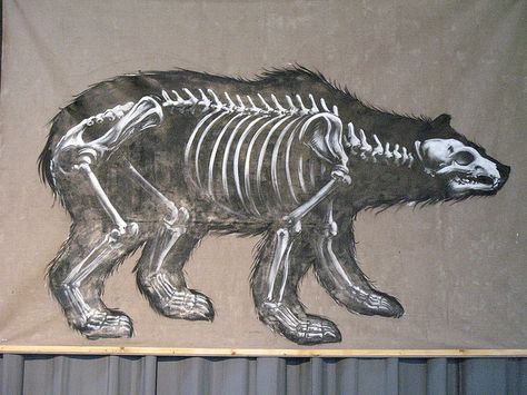 full bear Polar Bear Silhouette, Bear Skeleton, Save The Polar Bears, Bear Silhouette, Bear Tattoo, Art School, Polar Bear, Rug Making, New Work