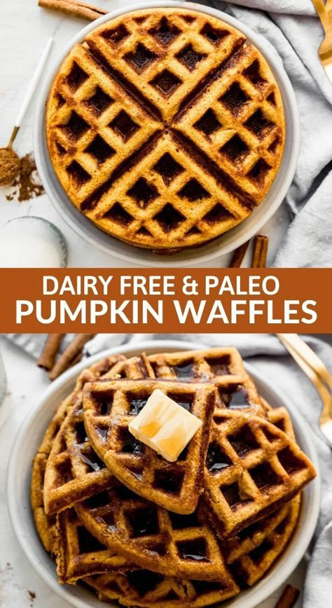 Paleo Pumpkin Waffles, Primal Breakfast, Paleo Waffles, Best Paleo Recipes, Menu Recipes, Paleo Recipes Breakfast, Dairy Free Breakfasts, Pumpkin Waffles, Paleo Pumpkin