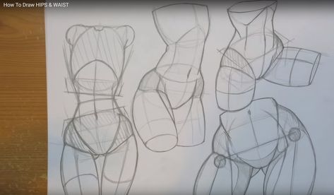 How to Draw Hips & Waist, by MikeyMegaMega on Youtube. Fantastic tutorial. Draw Hips, Drawing Body Proportions, Draw Easy, Body Drawing Tutorial, Body Sketches, Human Figure Drawing, Anatomy Sketches, 캐릭터 드로잉, Anatomy Drawing