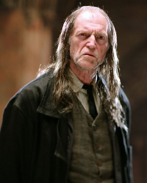 Balon Greyjoy. Actor: David Bradley. Harry Potter Movie Characters, Harry Potter Teachers, David Bradley, Always Harry Potter, Harry Potter Halloween, Images Harry Potter, Harry Potter Actors, Harry Potter Drawings, Harry Potter 2