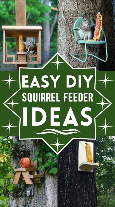 15 Cheap And Easy DIY Squirrel Feeder Ideas Squirrel Feeder Diy Simple, Squirrel House Diy, Diy Bird Feeder Easy, Suet Feeder Diy, Diy Squirrel Feeder, Squirrel Feeder Diy, Squirrel Feeders, Gallon Glass Jars, Suet Feeder