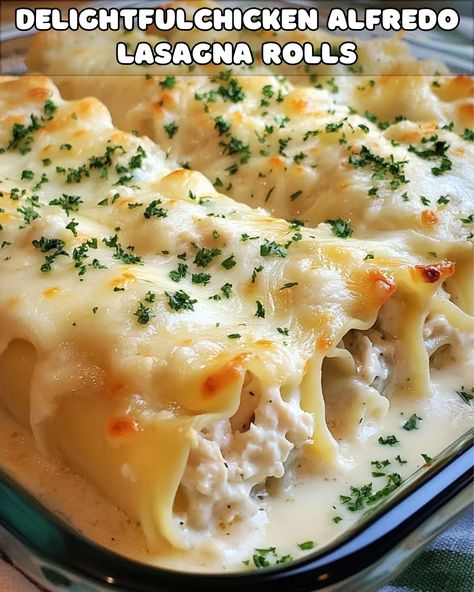 Delightful Chicken Alfredo Lasagna Rolls Chicken Alfredo Wraps, Chicken Alfredo Roll Ups, Chicken Alfredo Lasagna Rolls, Alfredo Roll Ups, Alfredo Lasagna Rolls, Chicken Lasagna Roll Ups, Chicken Lasagna Rolls, Chicken Alfredo Lasagna, Alfredo Lasagna