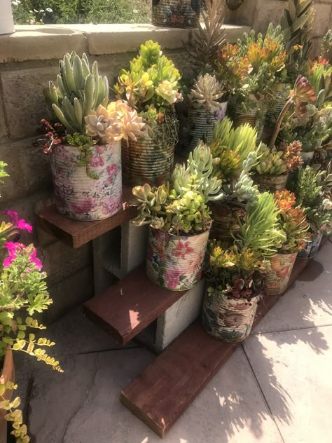 Diy Cinder Block Plant Stand, Cinder Block Cactus Garden, Potted Plants Display Outdoor, Patio Plant Shelf, Outdoor Plant Shelf Ideas Patio, Cinder Block Succulent Garden, Planter Shelf Outdoor, Plant Shelves Outdoor Garden Ideas, Patio Plant Stand Ideas