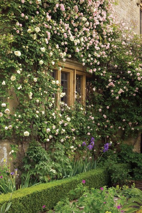 If you have enough sun don't underestimate the majesty of the climbing rose. Try New Dawn for pink or John Cabot for red in abundance! Country Cottages, Modern Country Style, English Country Gardens, Secret Gardens, The Secret Garden, Climbing Roses, Flower Bed, Modern Country, English Cottage