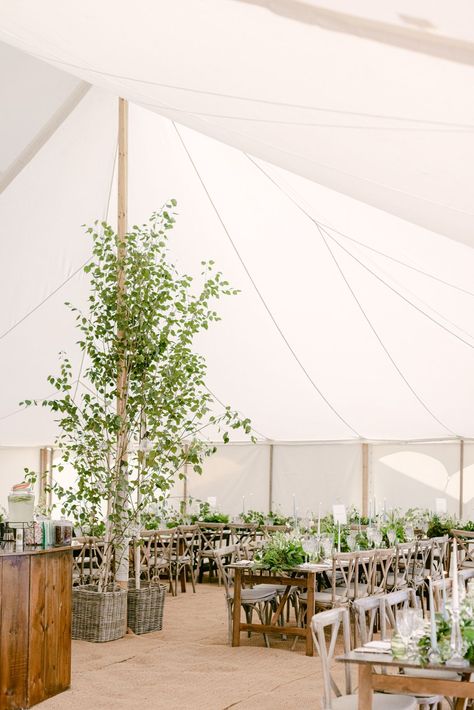 Marquee Wedding Decoration, Marquee Decor, Marquee Decoration, Herb Wedding, Wedding Tent Decorations, Wedding Tree Decorations, Wedding Marquee, Country Garden Weddings, Crossback Chairs