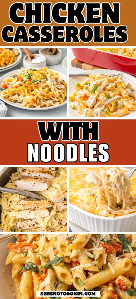 Photo collage of chicken casseroles with noodles. Chicken Pasta Casserole Recipes Healthy, Crazy Easy Dinner Casseroles, Easy Family Casserole Recipes, Chicken Tenderloin Casserole Recipes, Noodle Recipes With Chicken, Chicken Tetrazzini Easy, Chicken Dinners Easy, Easy Chicken Casseroles, Easy Family Casseroles