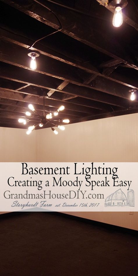 Lighting Ideas For Basement, Speakeasy Basement Ideas Industrial, Moody Basement Lighting, Old World Basement Ideas, Basement Back Bar, Dark And Moody Basement Bar, Speakeasy Lighting Ideas, Basement Bar Lighting Ideas, Speakeasy Bar Design Basement