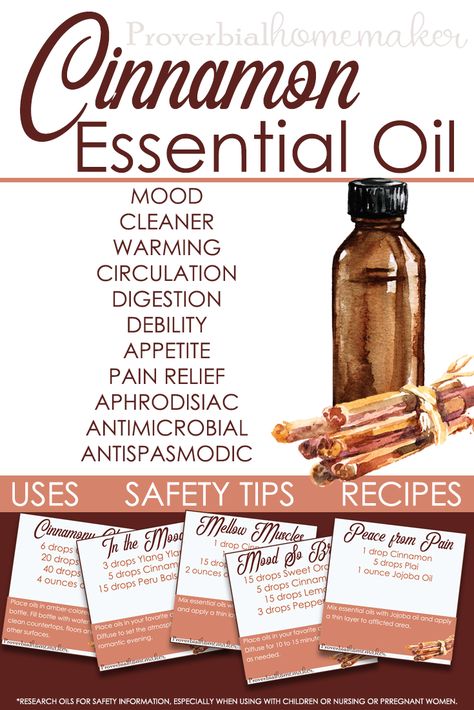 Best uses for Cinnamon essential oil including safety information, recipes, and more! Cinnamon Essential Oil Benefits, Uses For Cinnamon, Essential Oil Roller Bottle Recipes, Simply Earth, Cinnamon Benefits, Essential Oil Safety, Healthier Options, Cinnamon Oil, Cinnamon Essential Oil