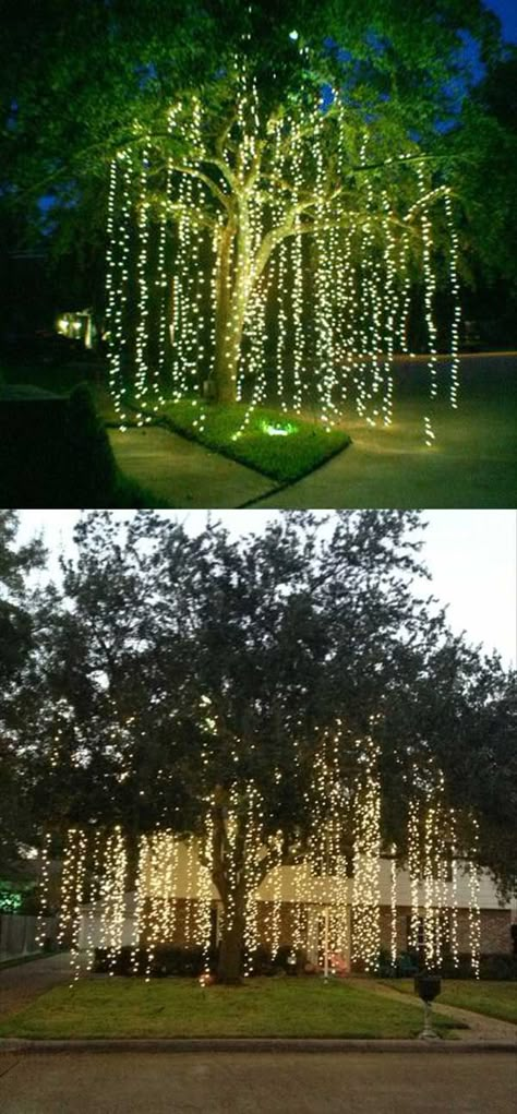 10 Fun Christmas Decorations For Your Garden Or Yard Backyard Trees, Lights Decoration, Christmas Light Installation, Outdoor Trees, Christmas Lighting, Navidad Diy, Christmas Yard, Outdoor Christmas Lights, Indoor Christmas