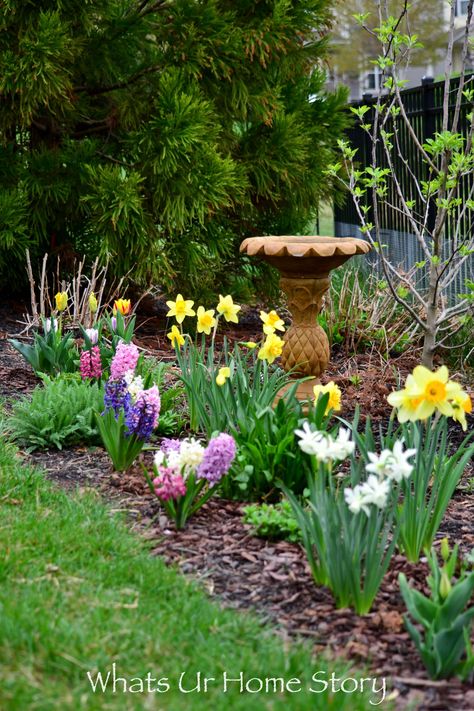 Peony Landscaping, Tulip Landscaping, Flower Aesthetic Tulip, Cottage Garden Bed, Hyacinths Garden, Tulip Aesthetic, Flowers Pansies, Garden Peonies, Daffodils Flowers