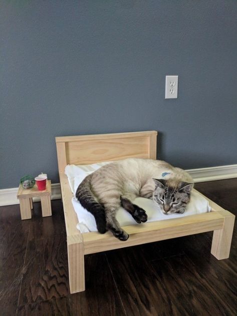 Make A Bed Frame, Making A Bed Frame, Cat In Bed, Katt Grejer, Make A Bed, Cat Ladder, Spoiled Cats, New Mattress, Built In Bed