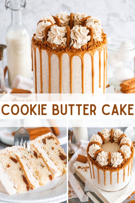 The most amazing biscoff cookie butter cake! Biscoff Baking Recipes, Cookie Butter Filling, Biscoff Cookie Butter Cake, Cookie Butter Cake Recipes, Cookie Buttercream Frosting, Biscoff Cake Recipe, Light Vanilla Cake, Cake Flavors And Fillings, Biscoff Dessert