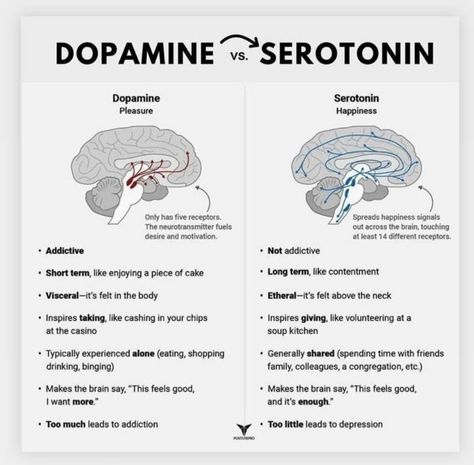 Dopamine And Serotonin, Learning Psychology, Psychology Notes, Psychology Studies, Biology Facts, Medical Student Study, Brain Facts, Brain Anatomy, Mental Health Facts