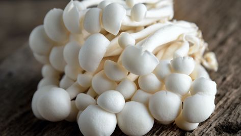 Shimeji Mushrooms: How to Cook With Shimeji Mushrooms - 2023 - MasterClass White Shimeji Mushroom Recipes, Shimeji Mushroom, Mushroom Guide, Food Basics, Beech Trees, Edible Mushrooms, Grocery Haul, Northern Europe, Basic Recipes