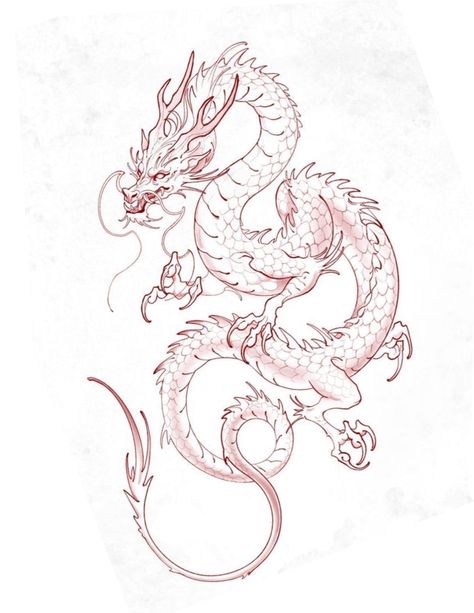 Asian Dragon Drawing, Dragon Chino Tattoo, Dragon Tattoo Outline, Dragon Tattoo Stencil, Chinese Dragon Drawing, Japanese Dragon Drawing, Asian Dragon Tattoo, Dragon Tattoo Sketch, Red Dragon Tattoo