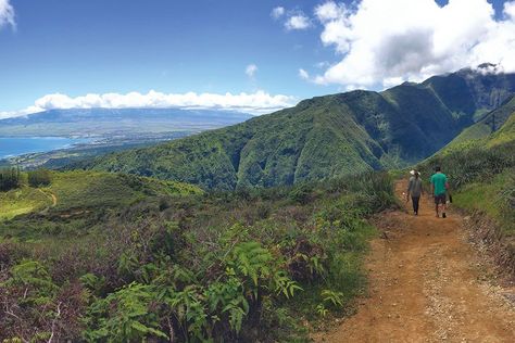 Follow your local guide and make the most of central Maui in this series called, "A perfect day on Maui." Wailuku Maui, Maui Vacation, Local Guide, A Perfect Day, East West, Perfect Day, Maui, Places To Go, Hawaii