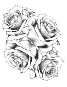 group of roses Rose Bush Tattoo Design, Tattoo Tulip, Rose Drawing Tattoo, Flower Tattoo Drawings, Free Tattoo Designs, Beautiful Flower Drawings, Flower Tattoo Shoulder, Flower Tattoo Sleeve, Rose Tattoo Design