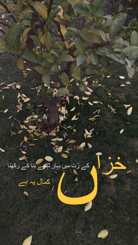 Aesthetic autumn vibes. Urdu poetry with nature Aesthetic Nature Quotes Poetry, Urdu Aesthetic Words, Urdu Lines For Caption, Aesthetic Poetry In Urdu, Aesthetic Urdu Lines, Aesthetic Urdu Quotes, Autumn Quotes Aesthetic, Urdu Poetry Aesthetic, Urdu Dp