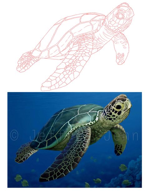 Sea Turtle Tattoo Stencil, Turtle Tattoo Outline, Turtle Tattoo Stencil, Sea Turtle Outline, Sea Turtle Stencil, Sea Turtle Tattoo Design, Turtle Stencil, Turtle Outline, Underwater Tattoo