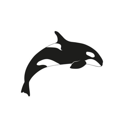 Whale Sketch, Killer Whale Tattoo, Brain Vector, Whale Species, Orca Tattoo, Animal Canvas Paintings, Whale Tattoo, Brain Illustration, Whale Drawing