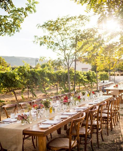 Vineyard Wedding Decor, Napa Wedding Venues, Vineyard Wedding Reception, Wedding Vineyard, Summer Reception, Vineyard Weddings, California Vineyards, Sonoma Valley, Napa Wedding