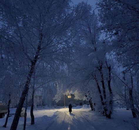 Pnw Core, Calming Atmosphere, Winter Love, Winter Scenery, Blue Hour, Winter Wonder, Winter Night, Dark Photography, A Poem