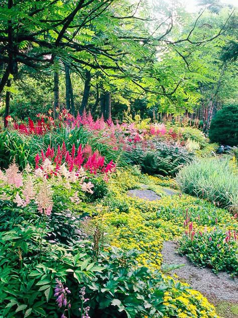 Shade - Plant en Masse - Plant en Masse  Just about every type of plant looks better in large groupings than it does planted individually. Here, drifts of astilbe seem to tower out of a groundcover of golden sedum.    Test Garden Tip: Planting en masse doesn't necessarily mean growing only a single variety. Here, several selections of astilbe combine for even more interest Shade Garden Design, Shade Garden Plants, Magic Garden, Have Inspiration, Colorful Plants, Woodland Garden, Garden Features, Shade Plants, Landscape Projects