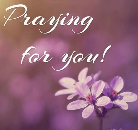 Get Well Prayers, Prayer For A Friend, Christian Quotes Images, Well Quotes, Get Well Messages, Get Well Quotes, Sending Prayers, Praying For Others, Sympathy Card Messages