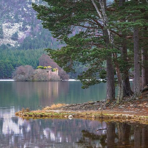 Loch Elein & Rothiemurchus Forest in Aviemore, Scotland Aviemore Scotland, Scotland Travel, Places Ive Been, Scotland, England, Forest, Water, Travel, Quick Saves